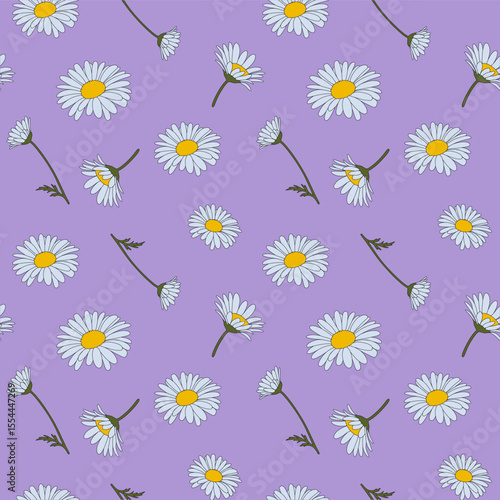 Seamless pattern with daisy flower field on purple background vector illustration. Cute floral print.