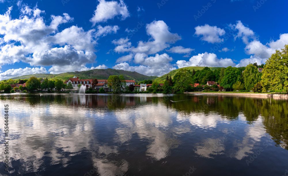 Naklejka premium Forellenteich in Ilsenburg am Harz