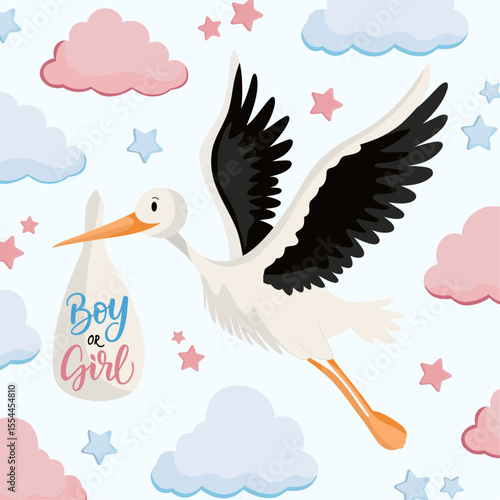 Stork deliver baby boy or girl Gender reveal party illustration Blue or pink