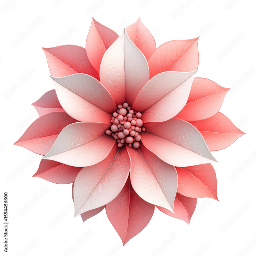 Fototapeta premium 3d icon beautiful with poinsettia blooming red and white petals christmas on a transparent background