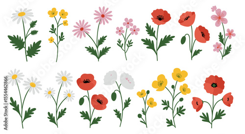 Flat floral vector illustration: diverse flowers and blooms for design
