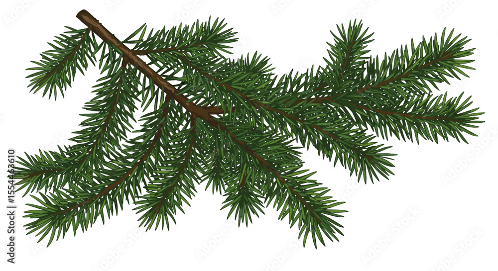 Pine branch vector illustration for christmas decoration design Pine branch vector illustration for christmas decoration design