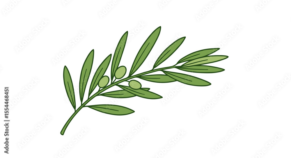 Olive branch vector illustration for design projects in flat style Olive branch vector illustration for design projects in flat style