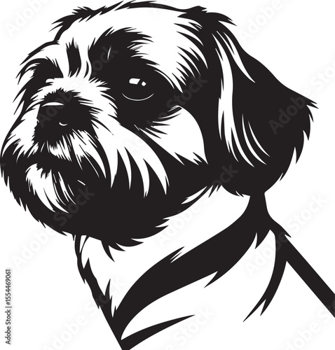 Elegant Shih Tzu Portrait: This striking black-and-white illustration features the graceful and dignified face of a shih tzu dog. Its expressive eyes.