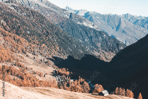 alpine scenic and wide panorama with larch forest in foliage, small huts and blue clear sky in switzerland
