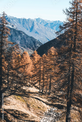 autumn in the swiss mountains a sunny day of november