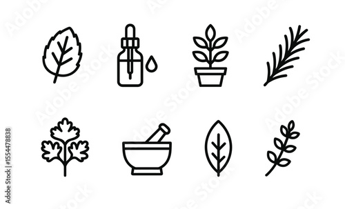 Herbal icon set: essential oils, leaves, and plants for natural remedies