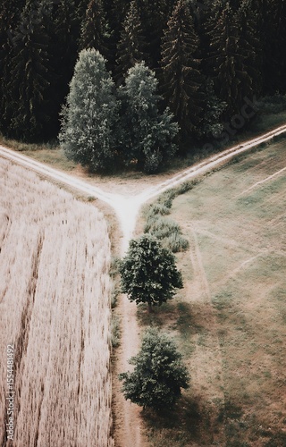 Fork in the road aerial view