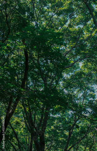 gurepdo island mountain landscape incheon south korea