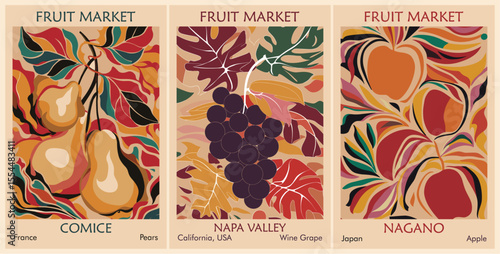 Set of vintage fruit market posters. Comice, France with pears, Napa Valley, USA with grapes, and Nagano, Japan with apples. Retro travel and produce illustration collection.