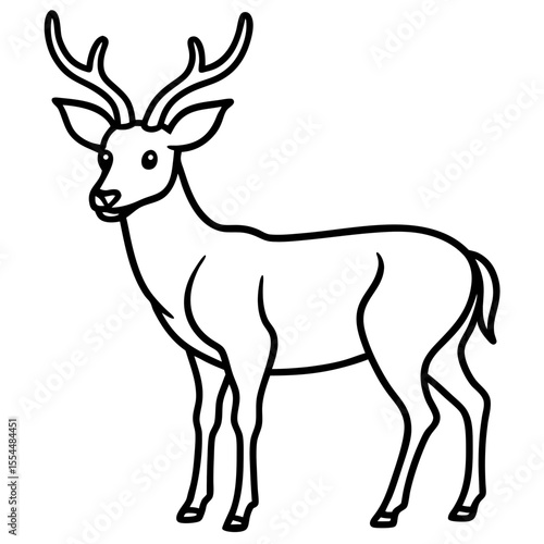 Deer line art vector