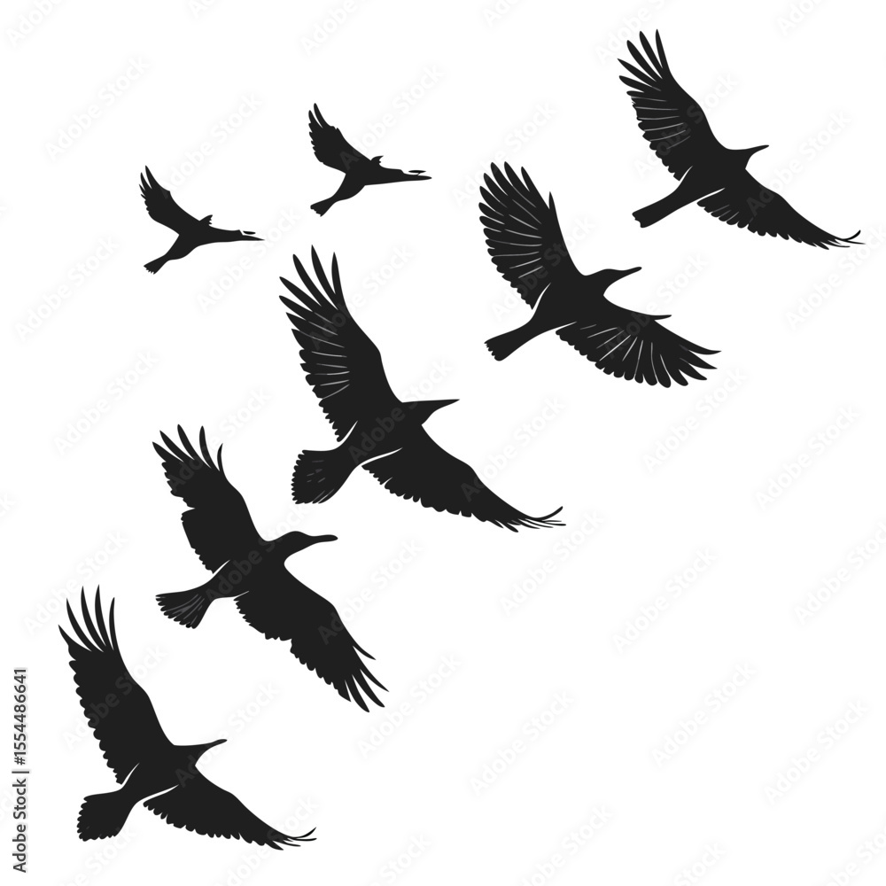 Obraz premium black-silhouette-vector-of-birds-in-flight--white- (1)