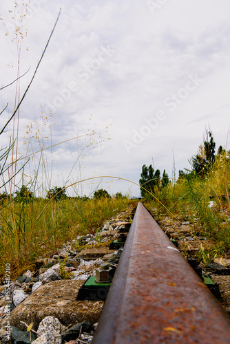 abandoned railway tracks with vegetation