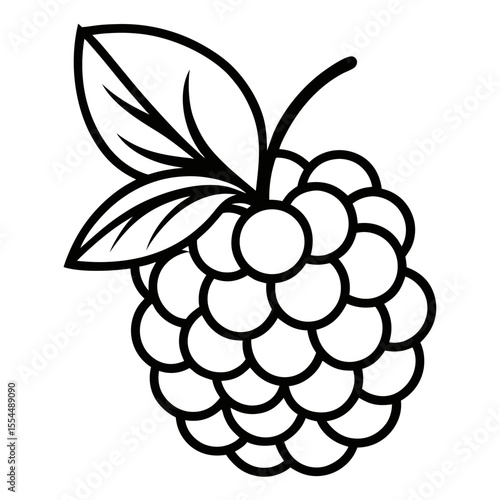
bramble-line-art-on-white-background