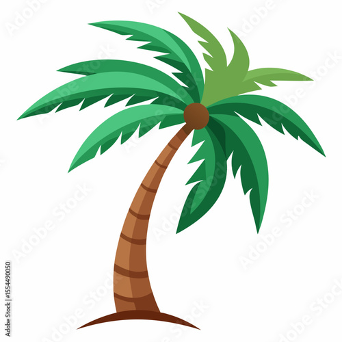 palm-tree-vector--white-background