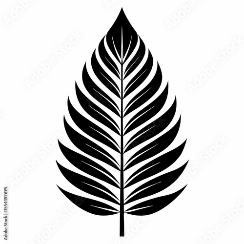 Stylized black silhouette of a fern leaf on a white background