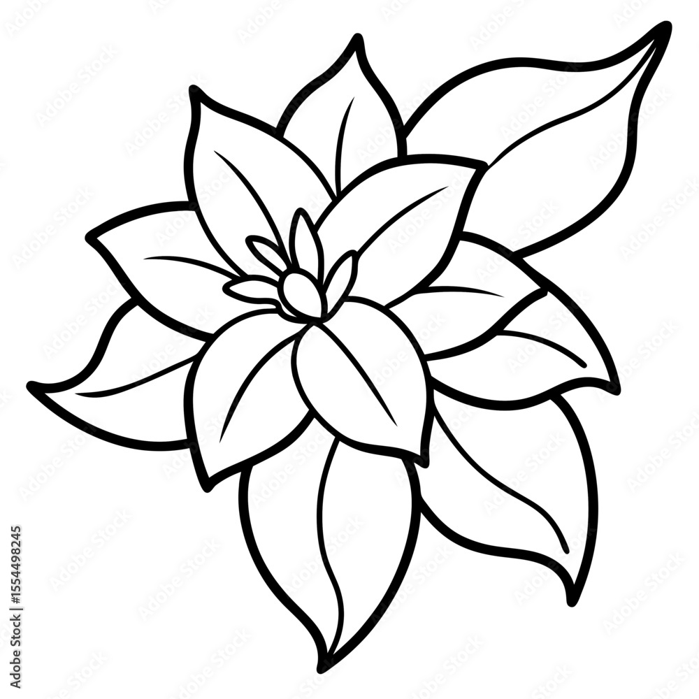 Fototapeta premium Jasmine line art vector