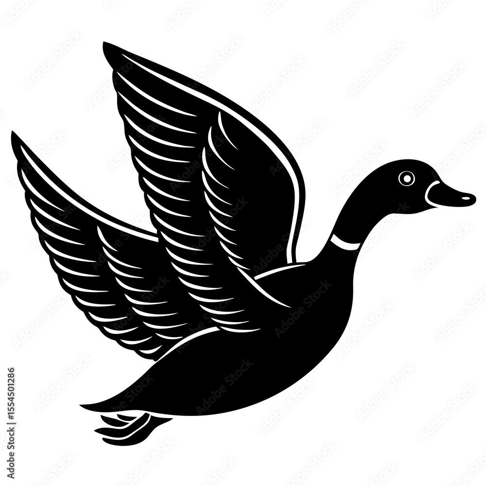 Fototapeta premium vector illustration of a duck