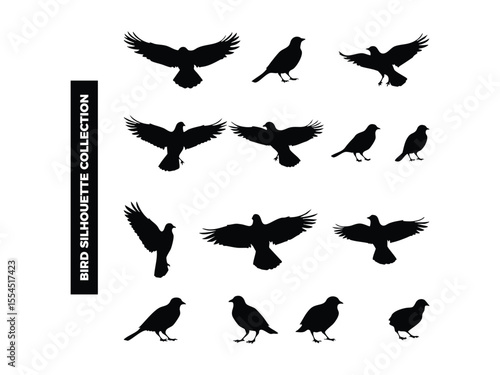 Vector Bird Silhouette Collection, Flying, Perching, and Soaring Birds for Graphic Design