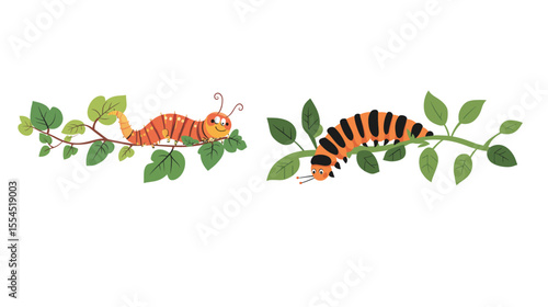 Vector illustration of a caterpillar eating leaves, featuring a segmented green insect chewing on foliage, representing growth, transformation, and nature’s life cycle, ideal for educational materials
