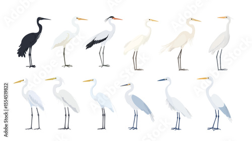 Cute egret vector art illustration in a distinct and whimsical style, featuring a graceful white bird with charming features and artistic flair, perfect for children’s content, decorative prints