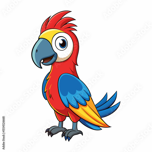 parrot on white background