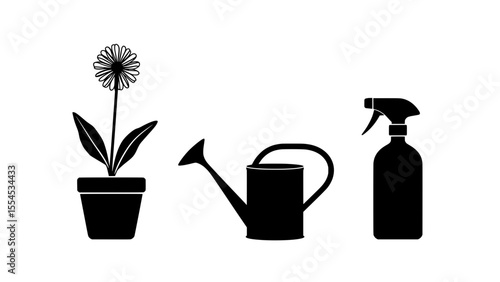 Flower in pot with watering can and spray bottle for gardening  