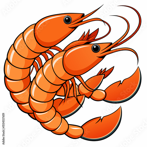 vector illustration of shrimp