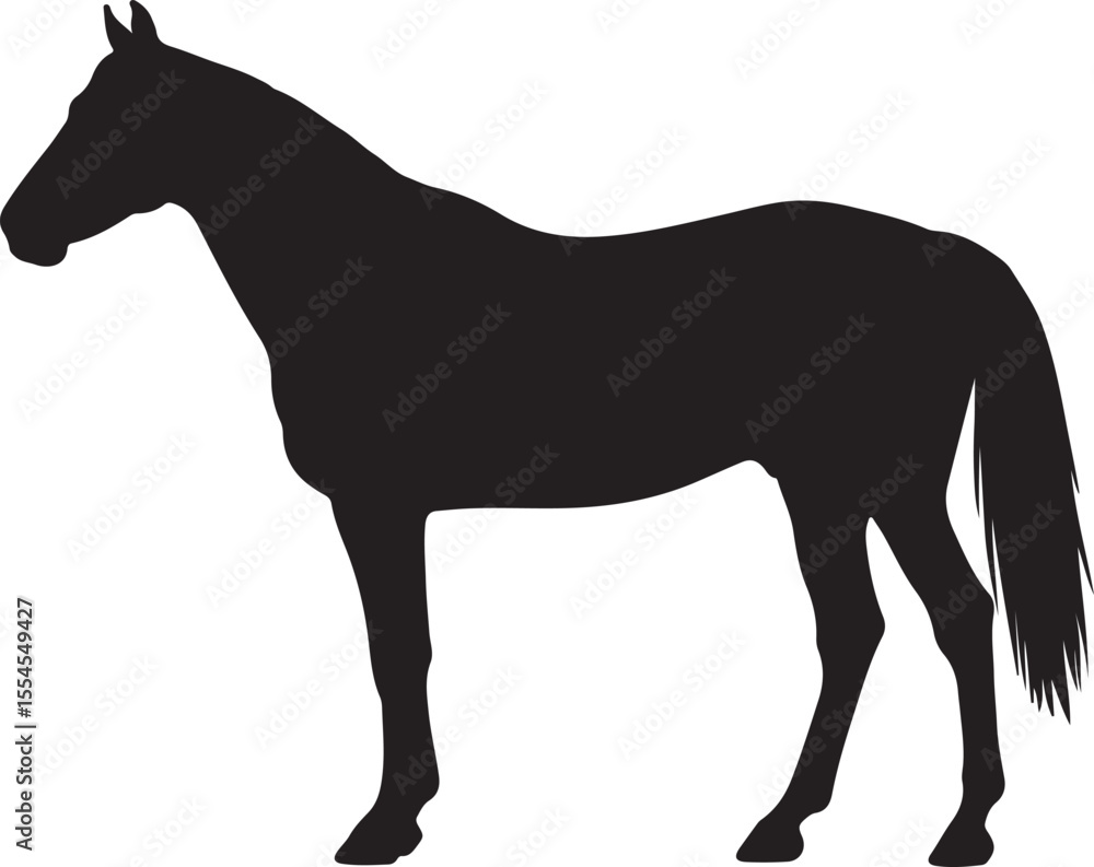 Obraz premium Cuban Paso horse in silhouette vector pure white background.