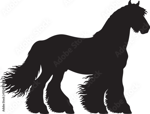 Carthusian Spanish horse in silhouette vector pure white background.