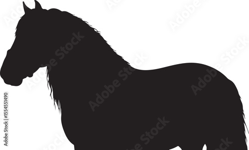 Carthusian Spanish horse in silhouette vector pure white background.