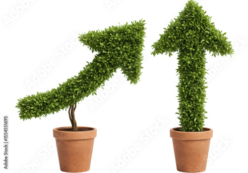 Isolated Two Green Topiary Arrows Pointing Upward