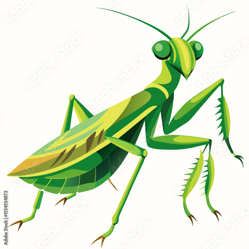praying mantis vector