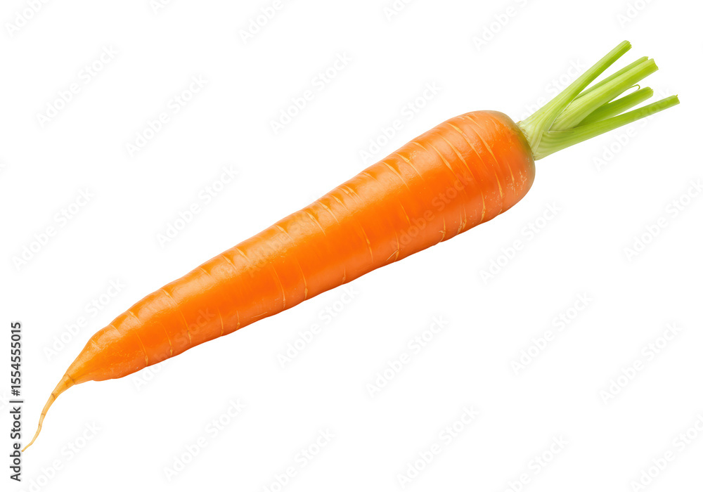 Isolated Single Fresh Bright Orange Carrot Isolated Single Fresh Bright Orange Carrot
