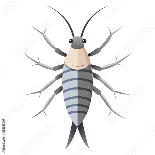 vector illustration of a silverfish insect