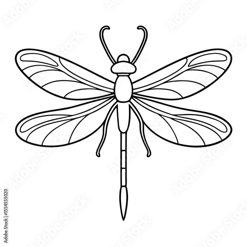 dragonfly on white background