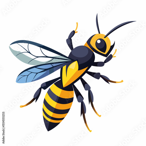 hornet on white background