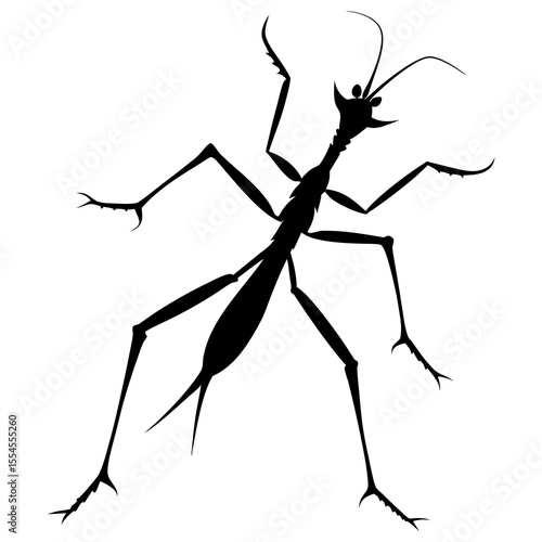 silhouette of a stick insect 