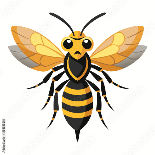 vector illustration of a bee