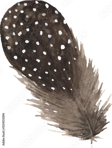 Obraz na płótnie Feather boho chic watercolor illustration clipart
