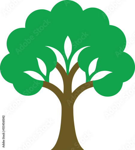 Sal Tree: Asian Forest Giant

