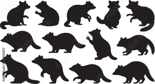 Playful Raccoon Silhouette Vector Collection for Wildlife and Nature Art