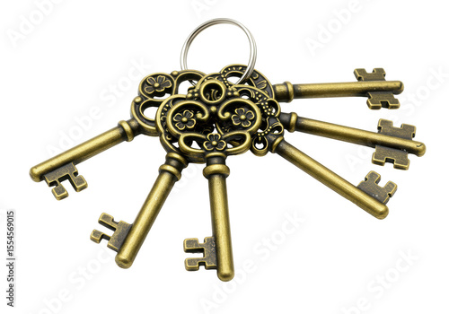 Isolated Ornate Antique Bronze Key Collection
