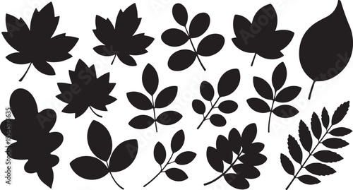Silhouette Leaves Collection Vector Art for Autumnal and Botanical Projects