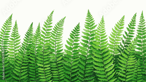 Guardian Lace Veil fern isolated watercolor vector illustration svg