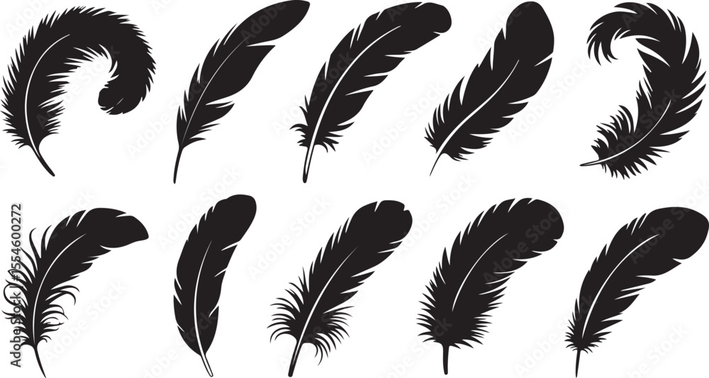 Obraz premium Set of Feather Silhouettes in Black and White Nature Art with Minimalist Bird Design and Elegant Quill Illustration