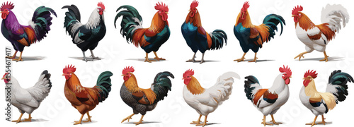 Colorful Rooster and Hen Illustrations: Vibrant Farm Animal Designs for Creative Projects