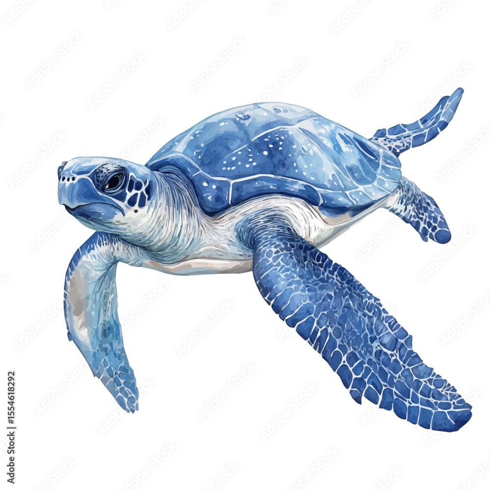 Fototapeta premium Leatherback Sea Turtle, watercolor vector, isolated on a white background.