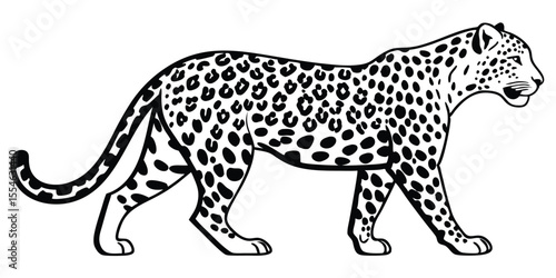  vector leopard on a white background.leopard, mammal, outline, illustration, animal, vector, africa, african, black and white, cut out, elegant, emblem, feline, fur, furious, graphic, hunter, image, 