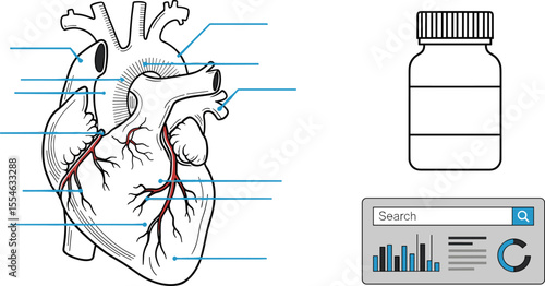 Cardiovascular Health Research: Analyzing Heart Anatomy, Pharmaceutical Solutions, and Medical Data for Advanced Healthcare Discoveries